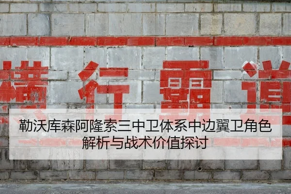 勒沃库森阿隆索三中卫体系中边翼卫角色解析与战术价值探讨（kaiyun）
