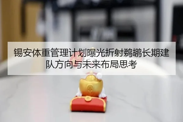 锡安体重管理计划曝光折射鹈鹕长期建队方向与未来布局思考（kaiyun）